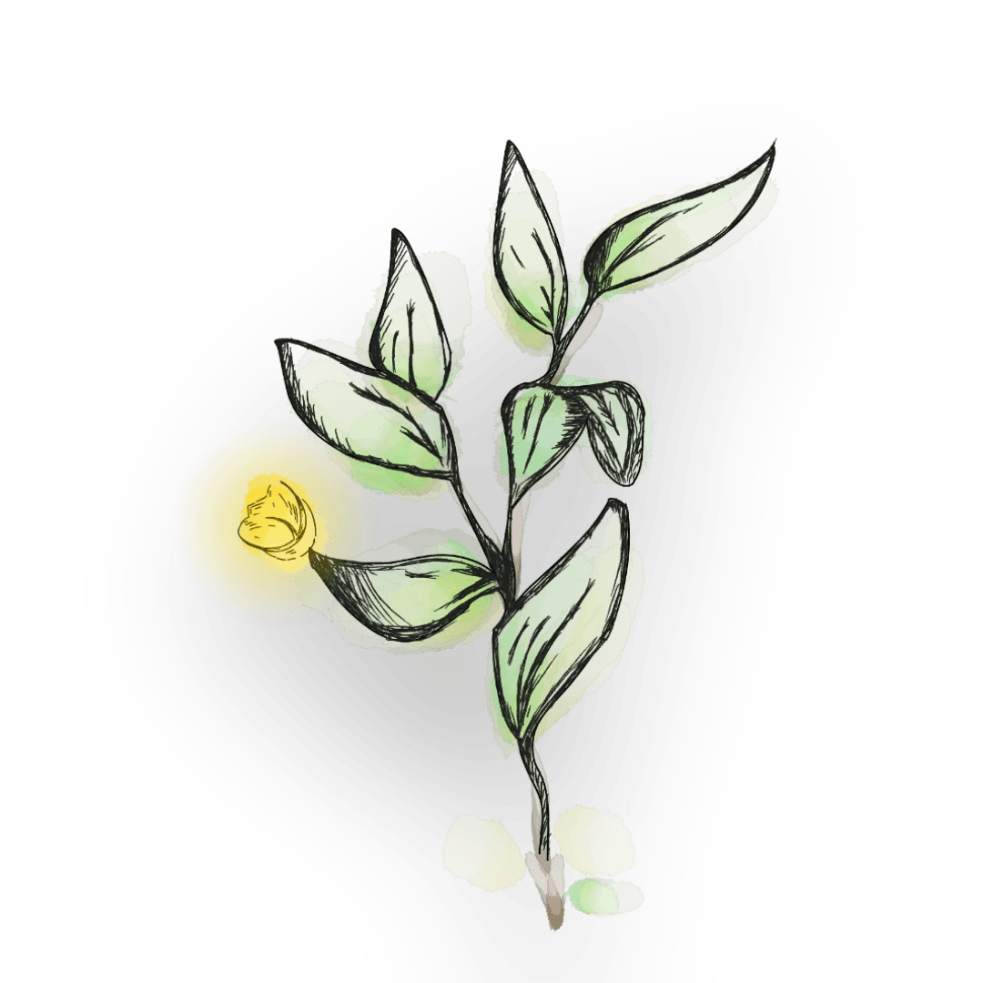 Bug sprout Image