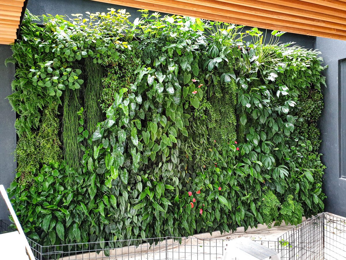 Snapshot of Decorative Residential Green Wall Plant Care