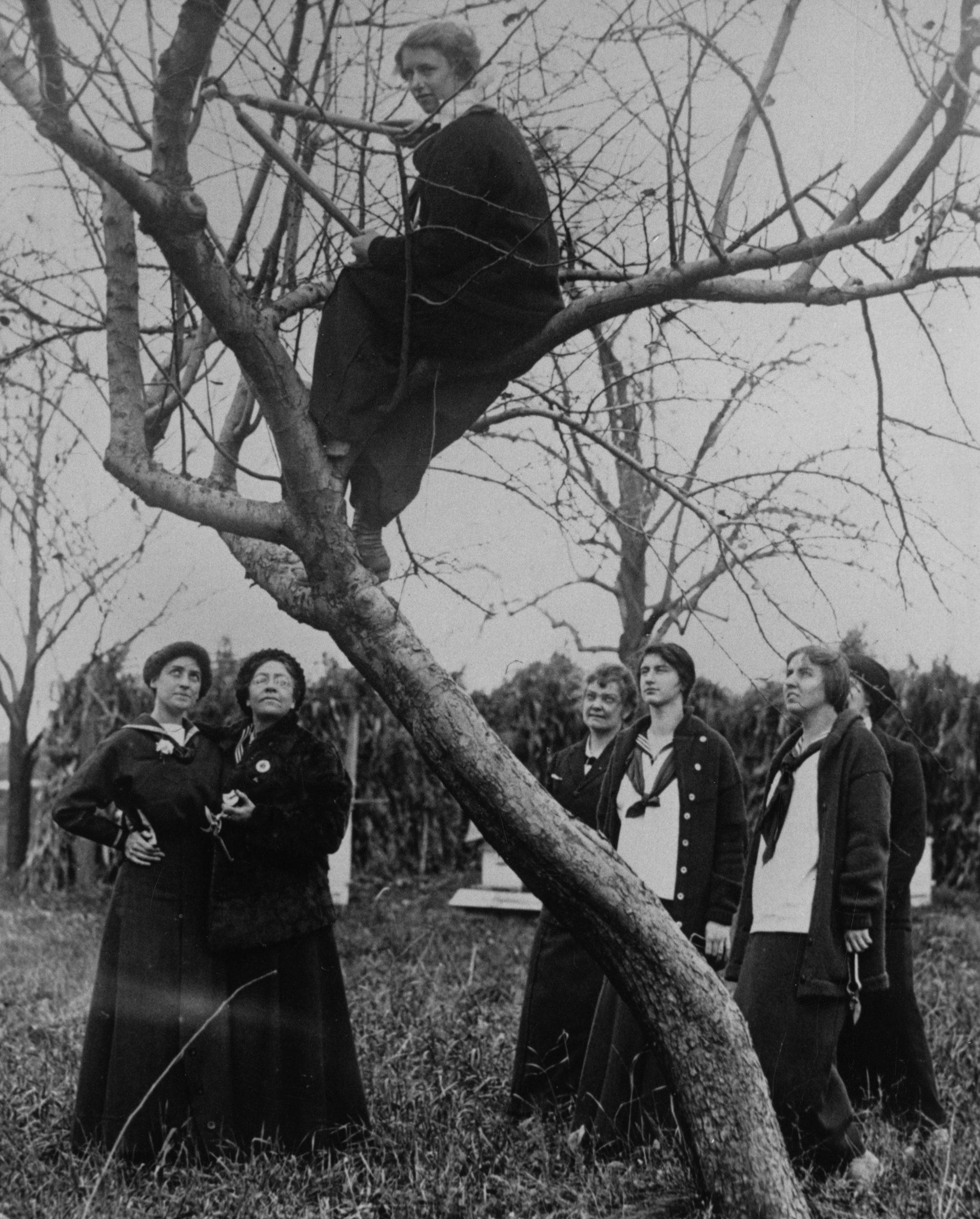 a tree surrounded by a group of standing women and supporting a woman up in its branches