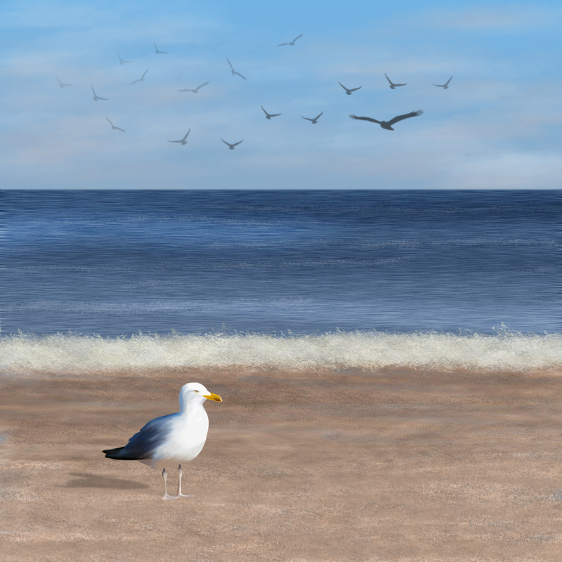 Pin Von Basteln Hakeln Tips Fur Weni Auf Zeichnen Und Ausmalen Vorlagen Anleitungen Zeichnen Lernen Malen Fur Anfanger Malen Und Zeichnen