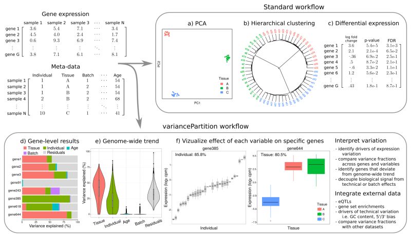 Github Gabrielhoffman Variancepartition Quantify And Interpret - Download Gorgeous Light Image | HD