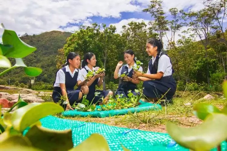 Samsung Solve for Tomorrow consolida logros históricos en el desarrollo de talento joven