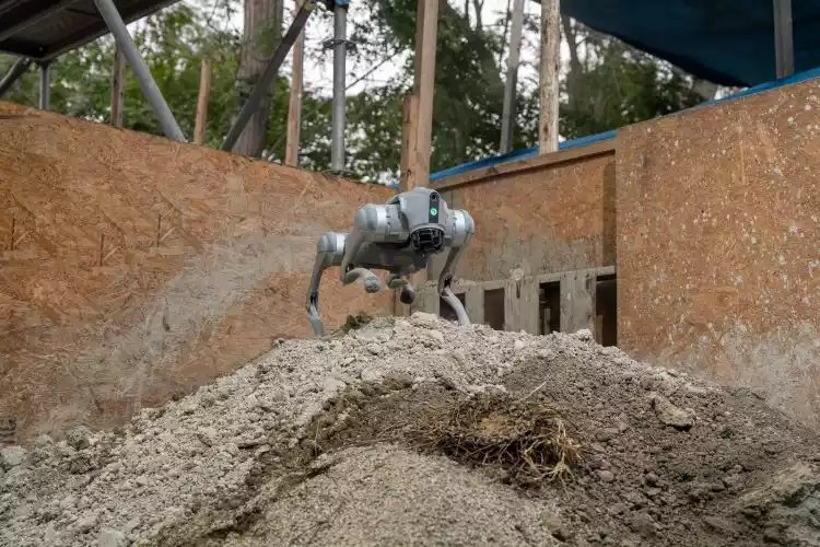 Terremoto en Colombia: ¿Los perros robots pueden ayudar a encontrar sobrevivientes entre los escombros?