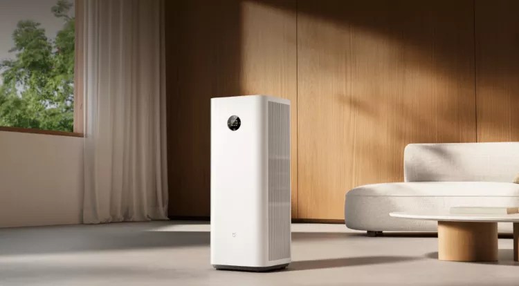 Alergias de primavera: 3 consejos prácticos para purificar el aire de tu casa