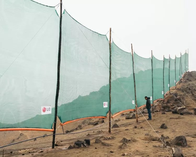 ¿Se puede producir agua a partir de la neblina? Así funcionan los atrapanieblas