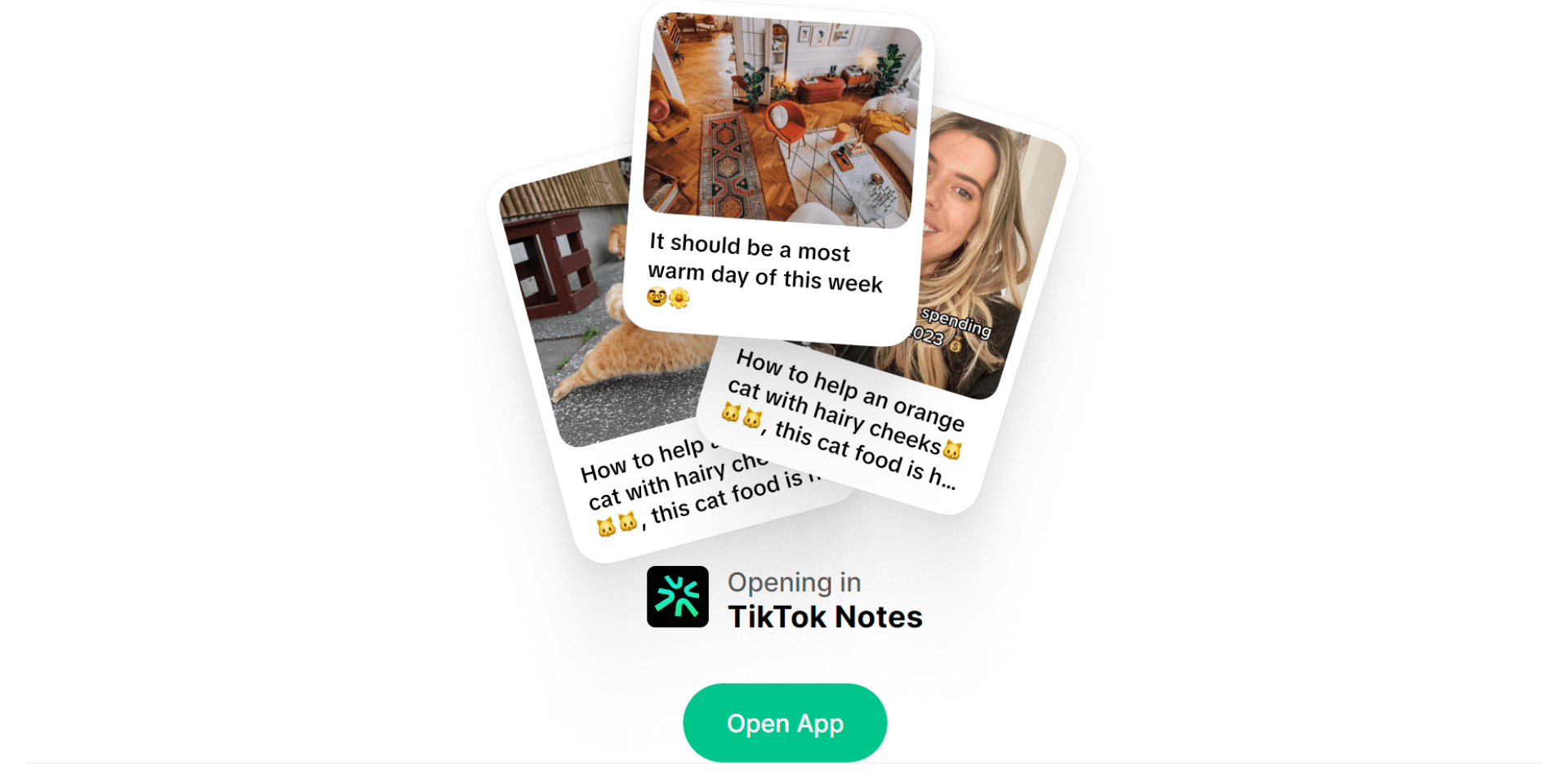 TikTok Notes