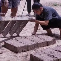 bricks
