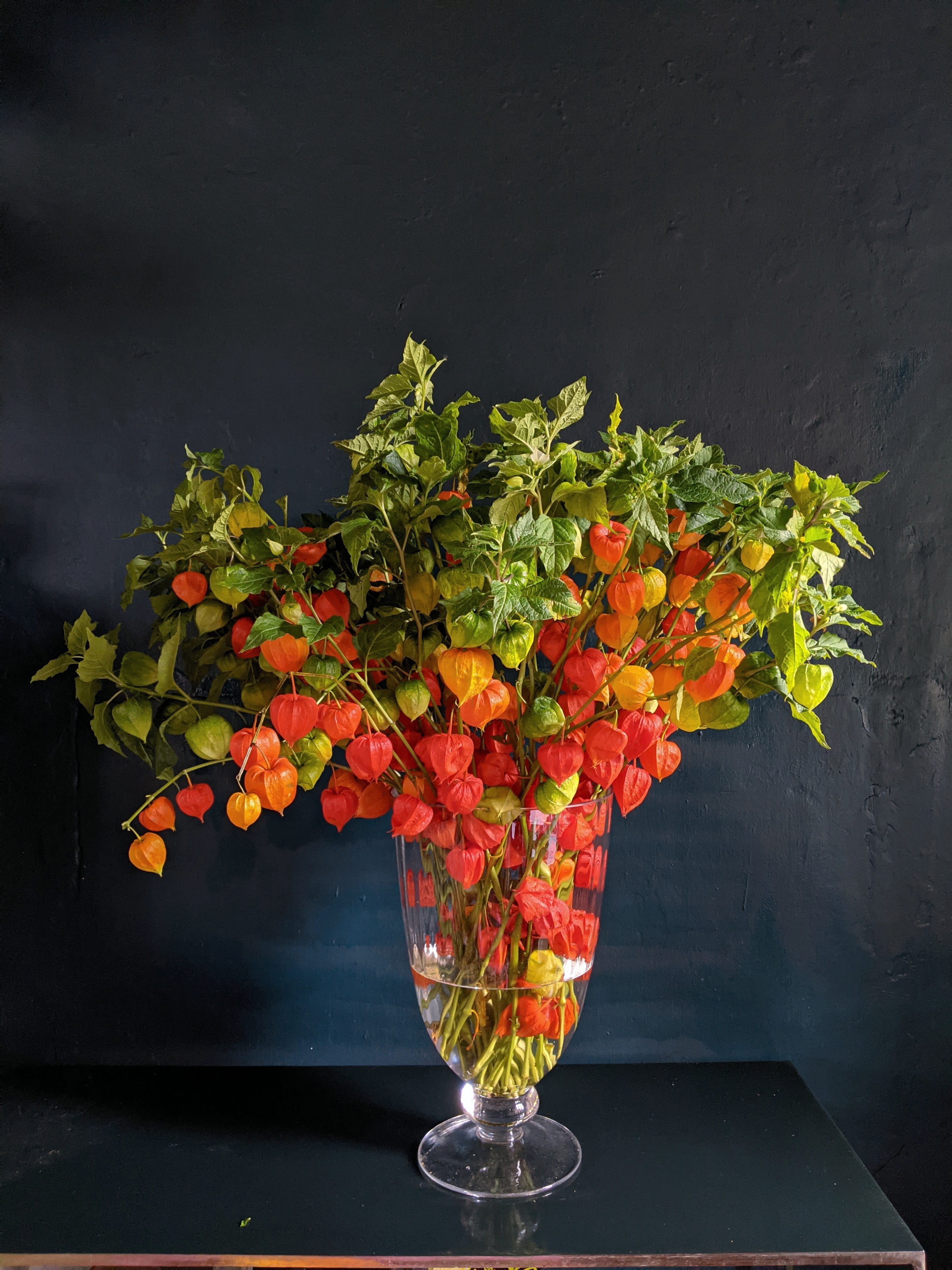 Chinese Lanterns for  9th October 2026