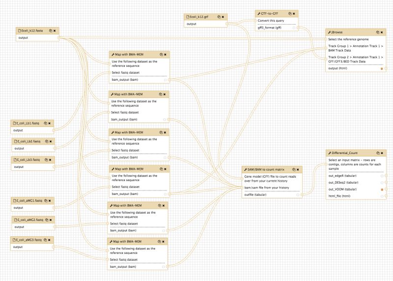 Workflow Variant Calling Bacteria Galaxy Australia Training - Sunset Illustration Collection - Mobile Quality