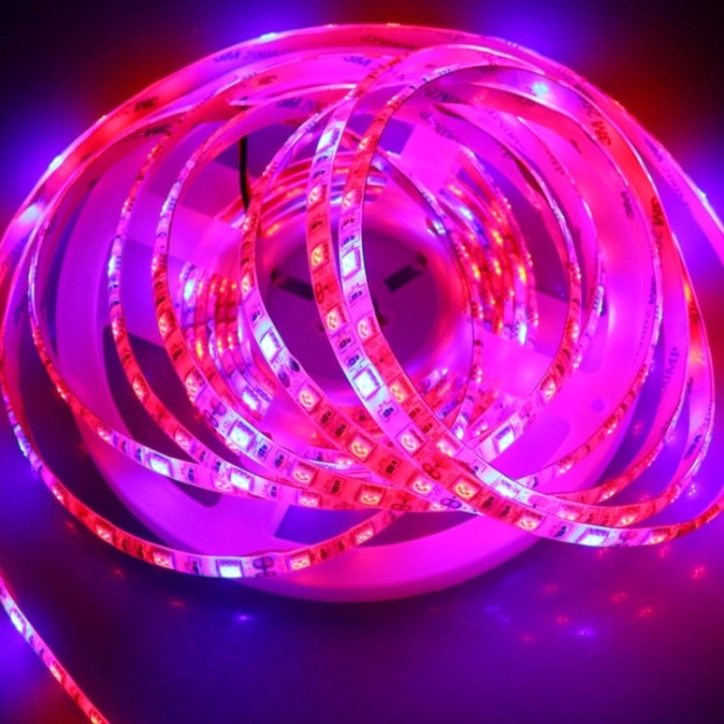 LED