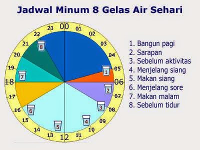 Kebutuhan Air Minum Per Orang Per Hari Menurut Who Dapatkan Data 