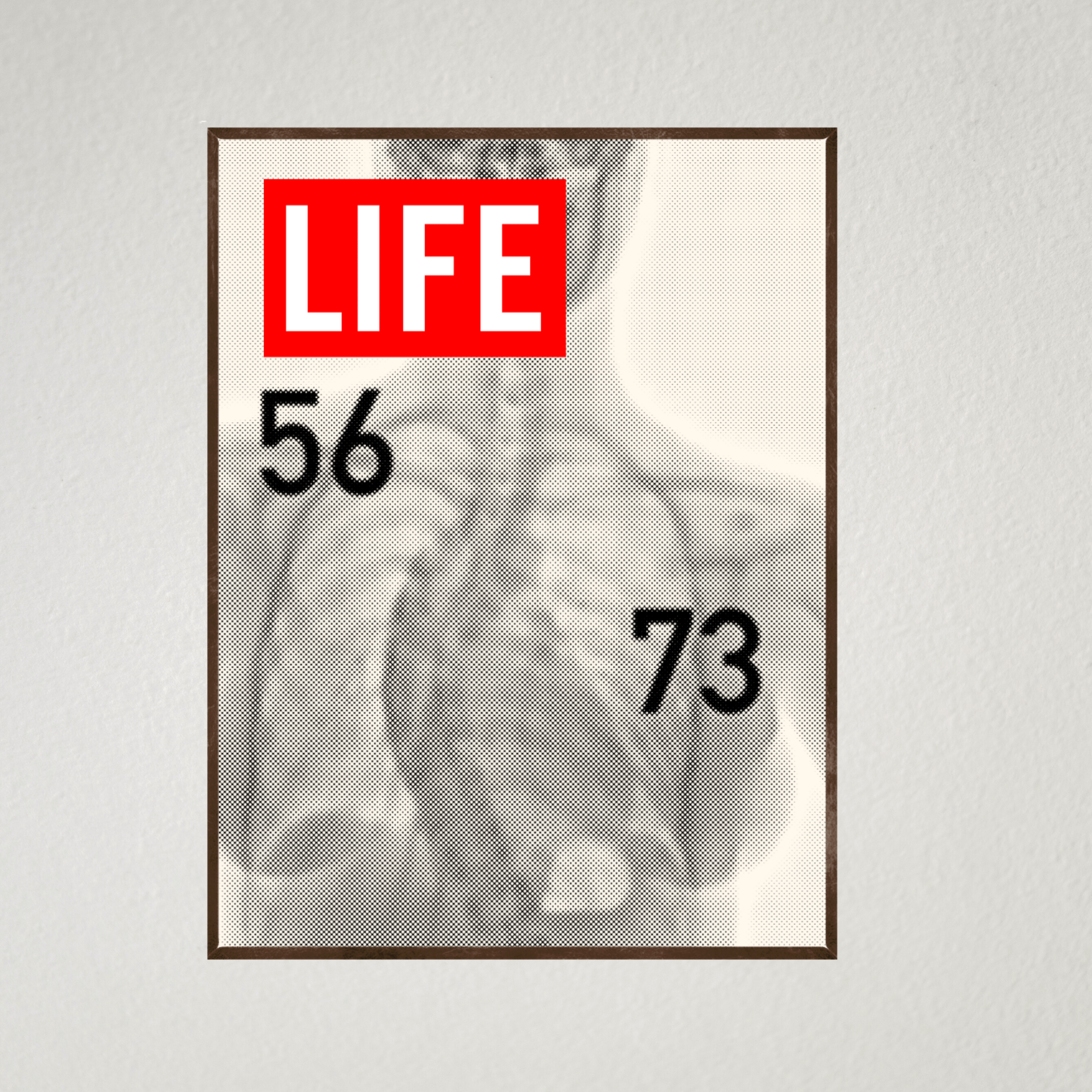 Life Magazine #14