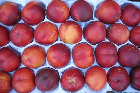 Nectarine_01