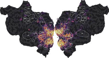 Github Gallantlab Voxelwise Tutorials Voxelwise Encoding Model - Best Light Illustrations in HD