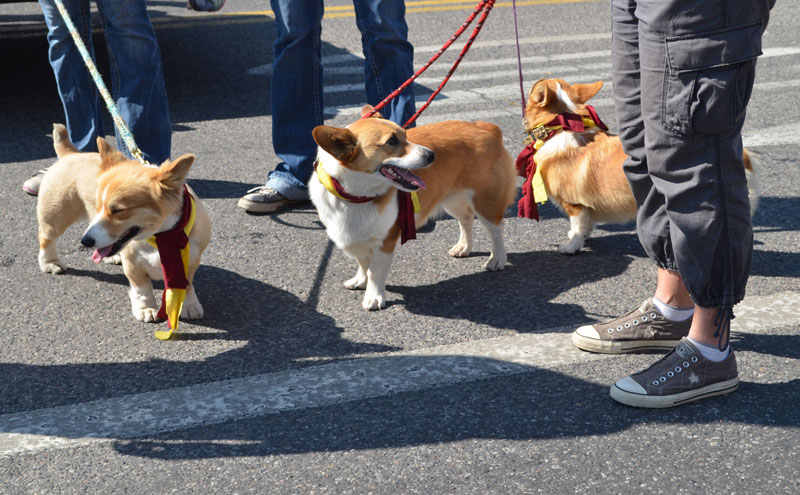 DSC_0039