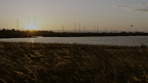 The Water at Bay
