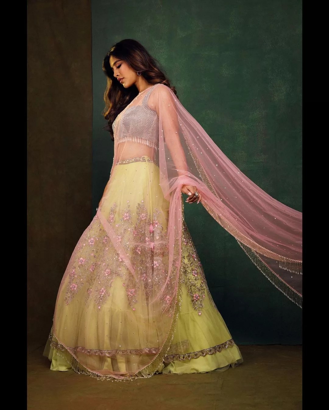 Nabha Natesh new pics