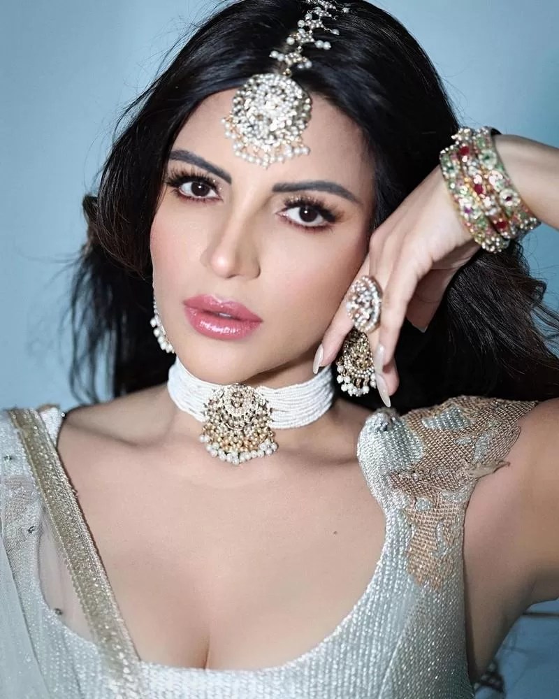 Shama Sikander latest pics