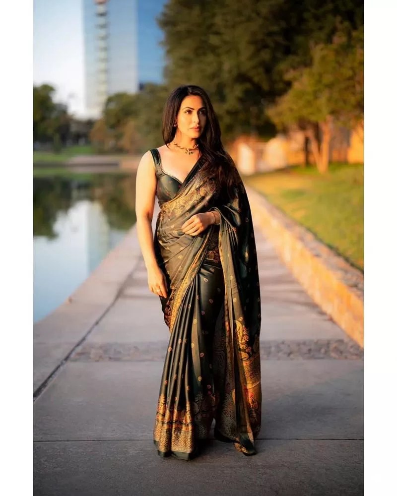 Nandini Rai saree pics