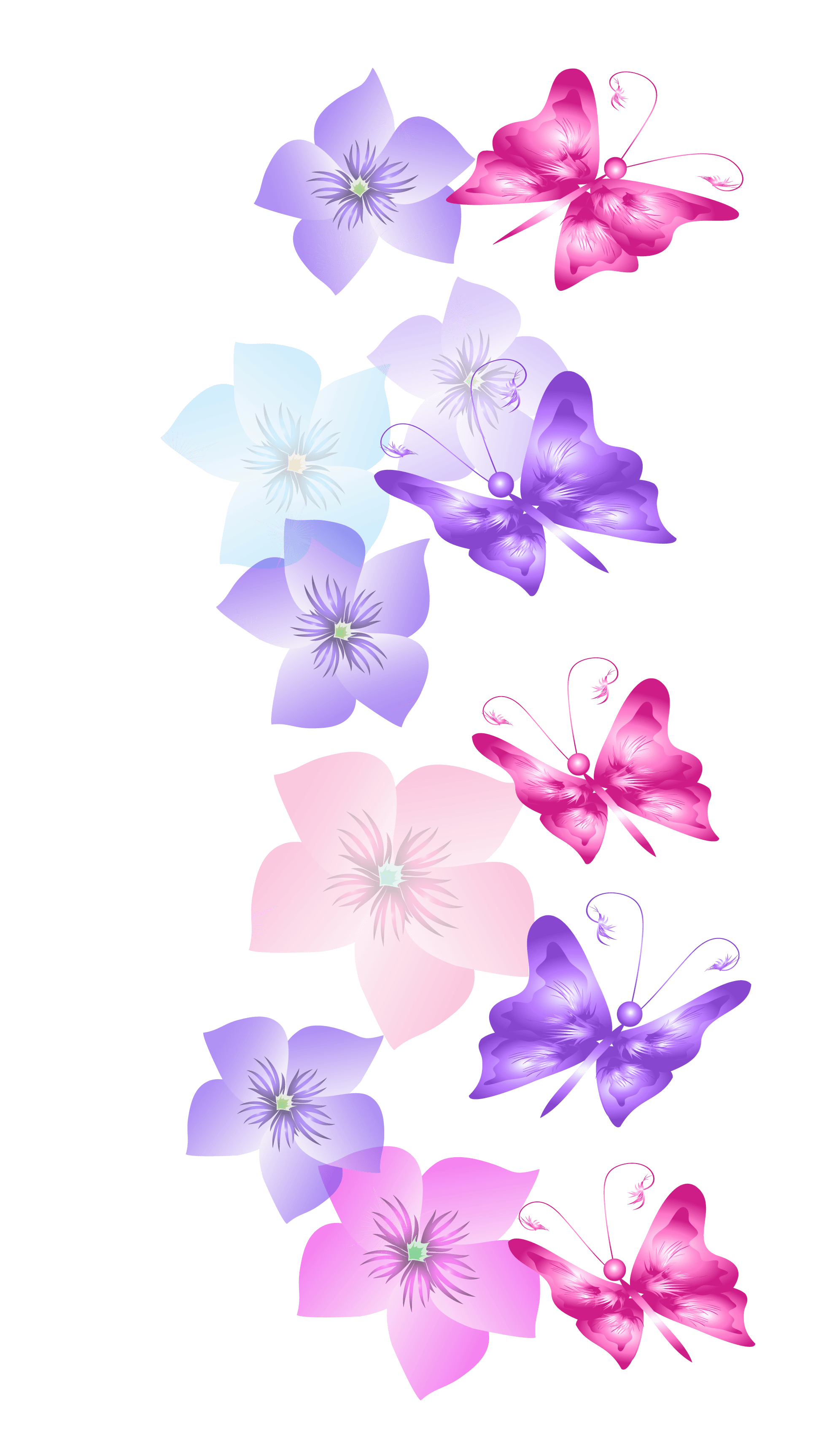 Butterfly Wallpaper Png