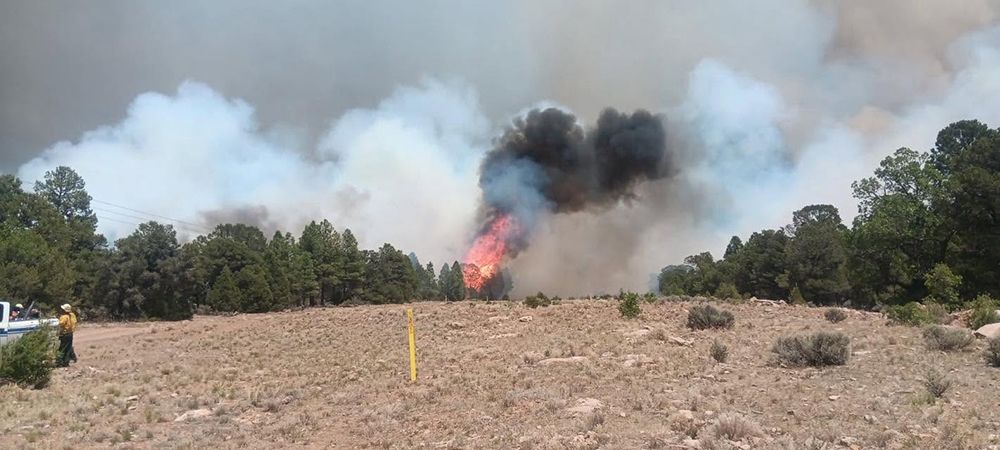 STATE FORESTER LIFTS FIRE RESTRICTIONS