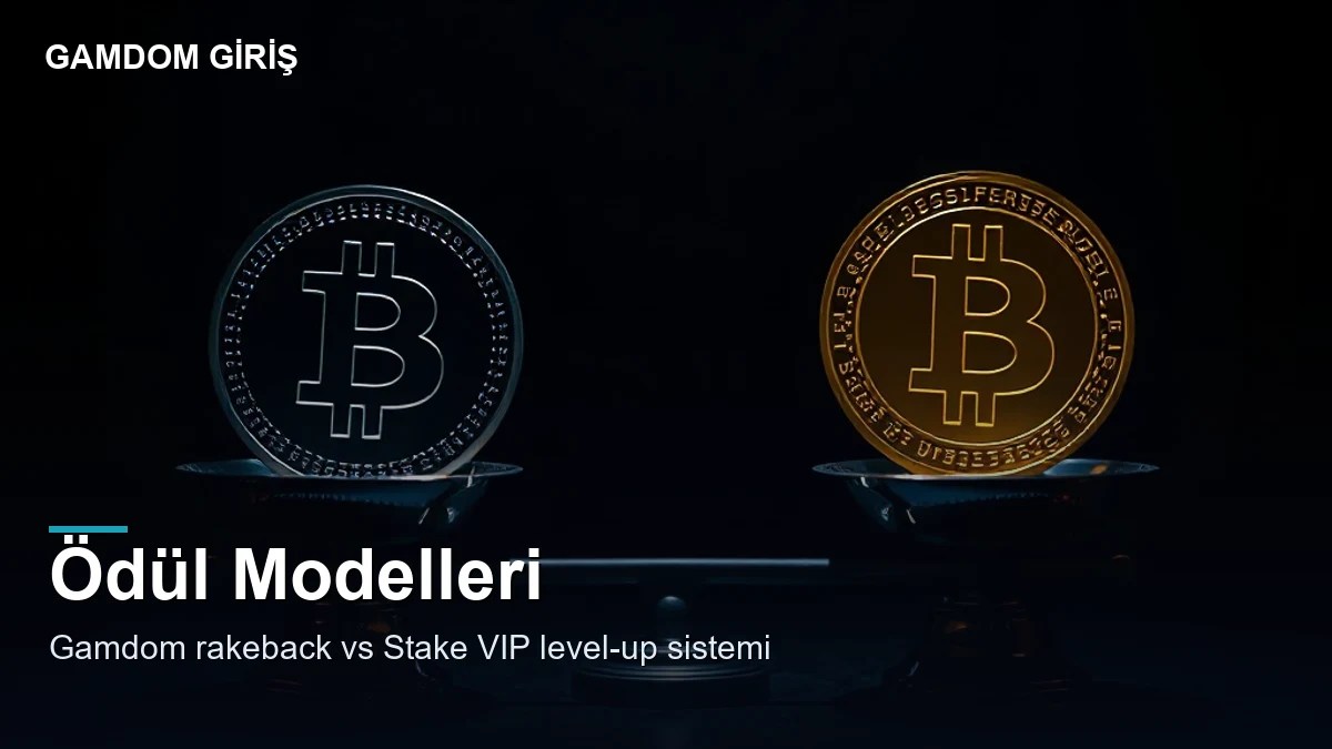 Gamdom Vs Stake 5 Gamdom vs Stake — ödül modelleri
