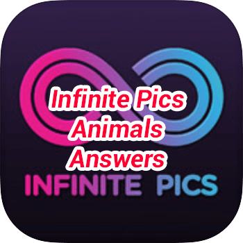Infinite Pics Animals Answers