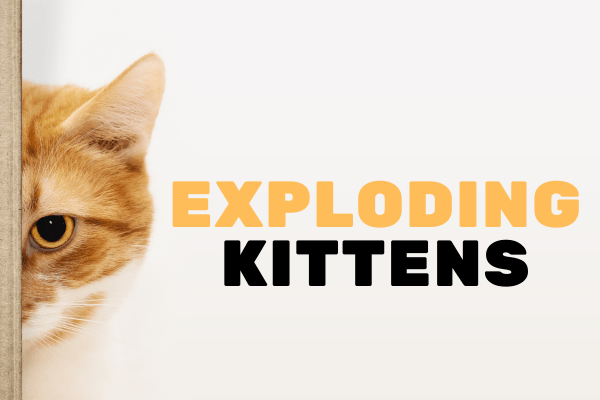 Como Jogar Exploding Kittens e Se Divirta ao M&aacute;ximo!