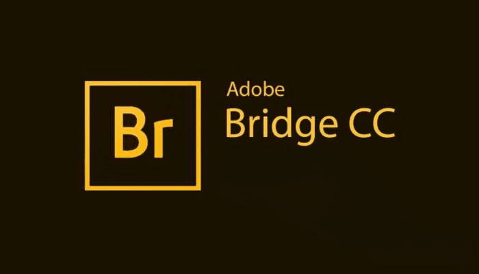 Adobe-Bridge.png