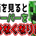 【マインクラフト】クリーパーを倒せなくなる動画　真実のストーリー【マイクラ】実況プレイ