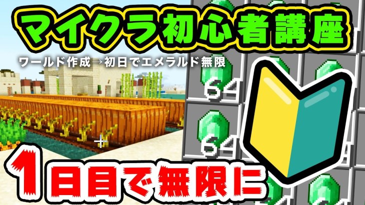 【マイクラ】初心者必見！1日目でエメラルドを無限にする方法を解説！【統合版/Java版】