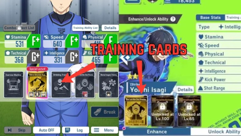 training cards and lecture cards