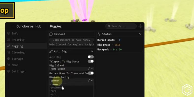 Using Scripts in Dig and Clean