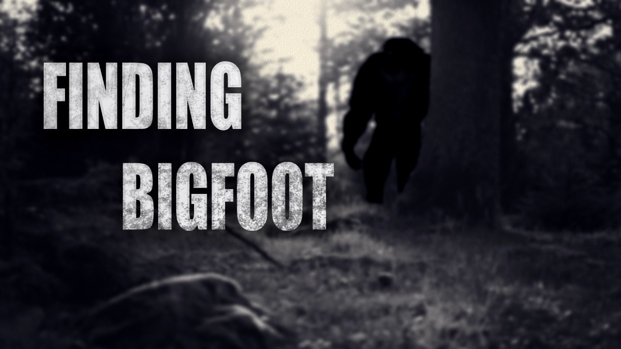 Finding Bigfoot…