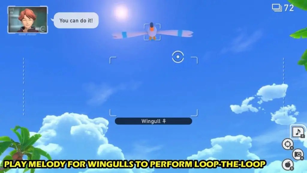 · pop your scanner and look for pinsir . New Pokemon Snap: Wingull Loop-the-Loop Request (How to Guide)