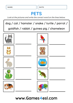 pet worksheets games4esl
