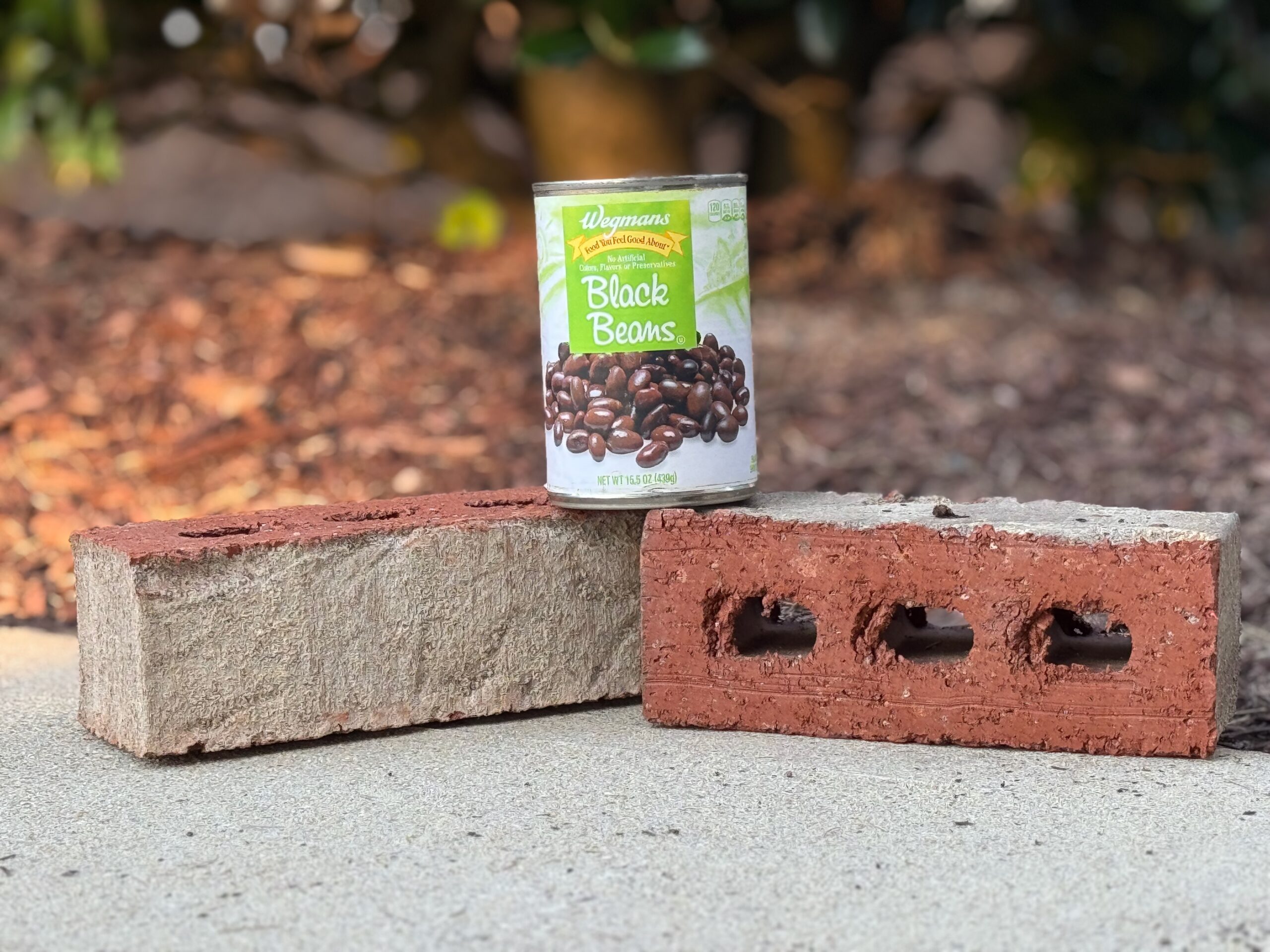 photo of a can of black beans resting on top of two red clay bricks
