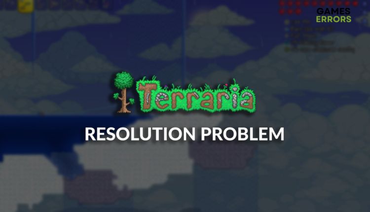 Problem R Terraria - Premium City Art Gallery - HD