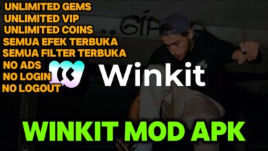 winkit mod apk
