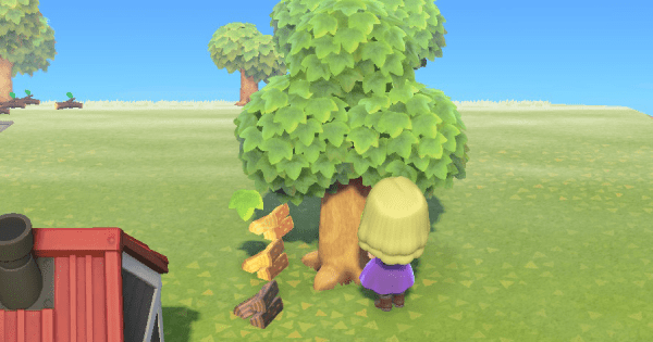 Tree Animal Crossing Wiki Fandom