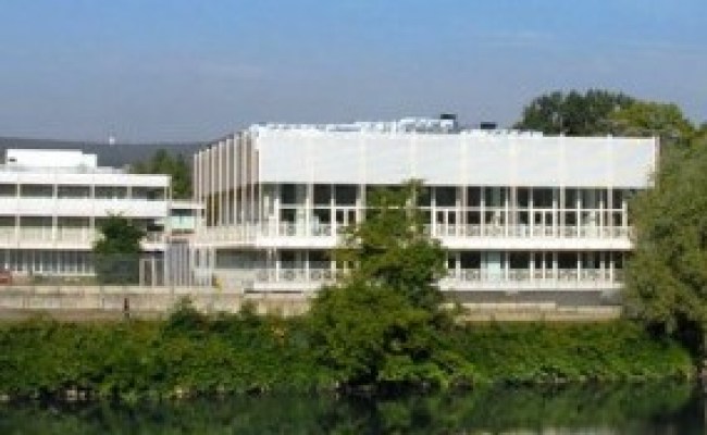 Gamification | About ITCILO