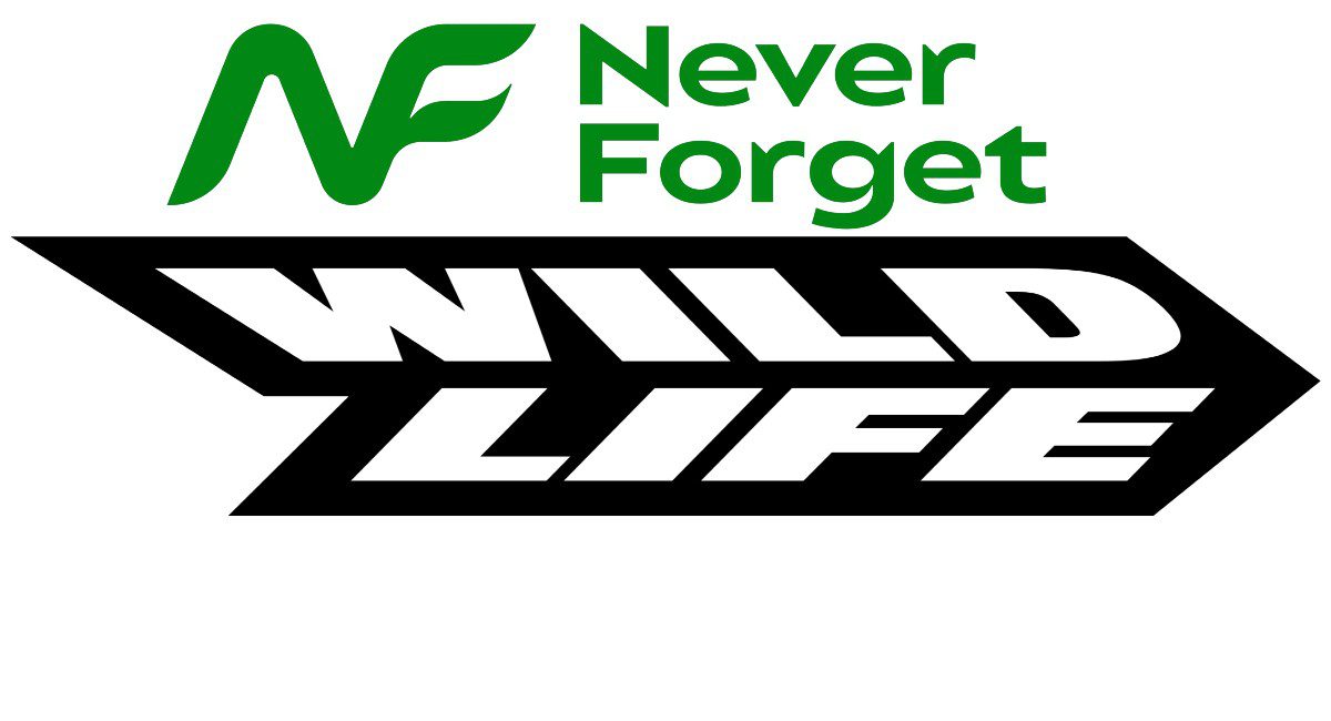 Wildlife Never Forget Games