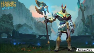 Wild Rift Nasus Guide