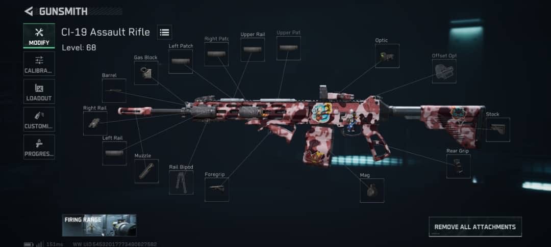 Best Loadouts in Delta Force Warfare, CI-19 Assault Rifle