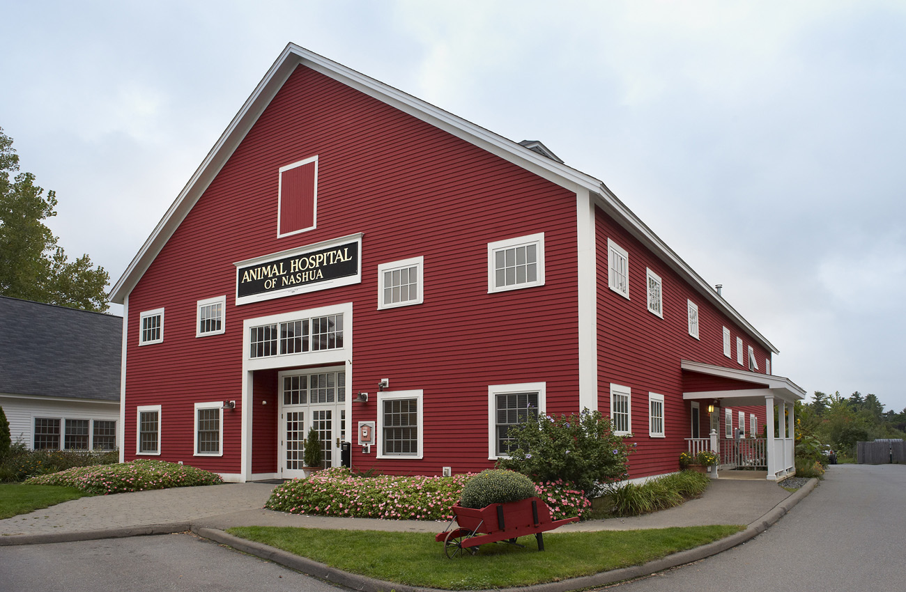 Our animal hospital in nashua is equipped with modern tools and technology to treat a number of pet emergencies—from food poisoning to fractures—during our . Pet Photography Gamut One Studios Blog