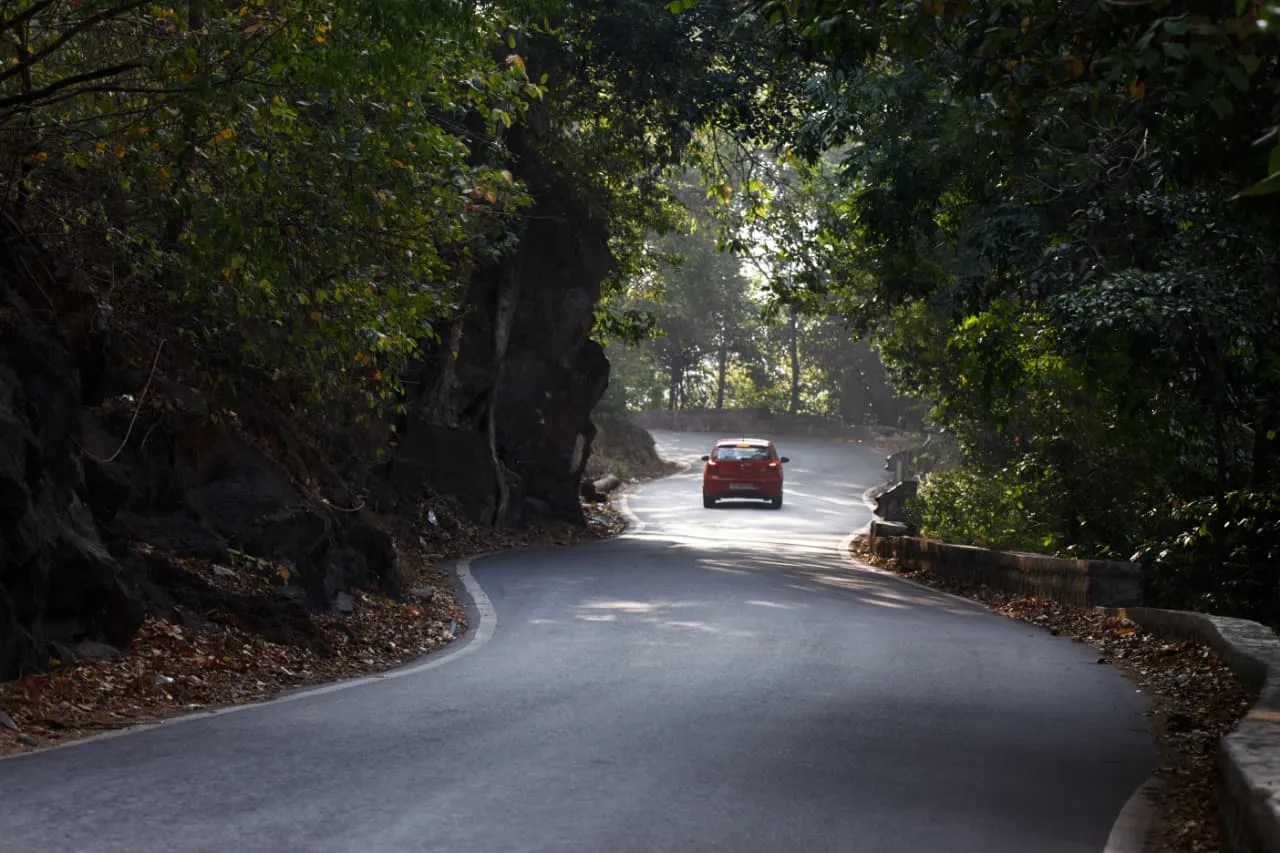 Agumbe: Beyond the Rain and the&nbsp;Cobras