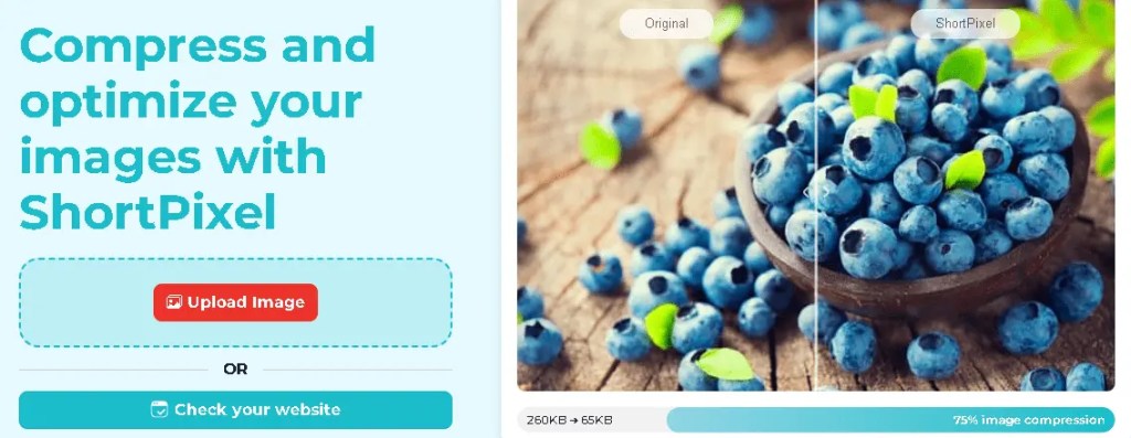 5 Best Image Optimization Tools (2024) short pixel image optimization tool 2024