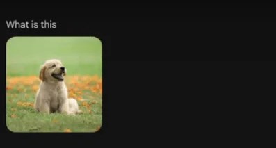 image finder with google prompt Quires about flight With Gemini advanced Features