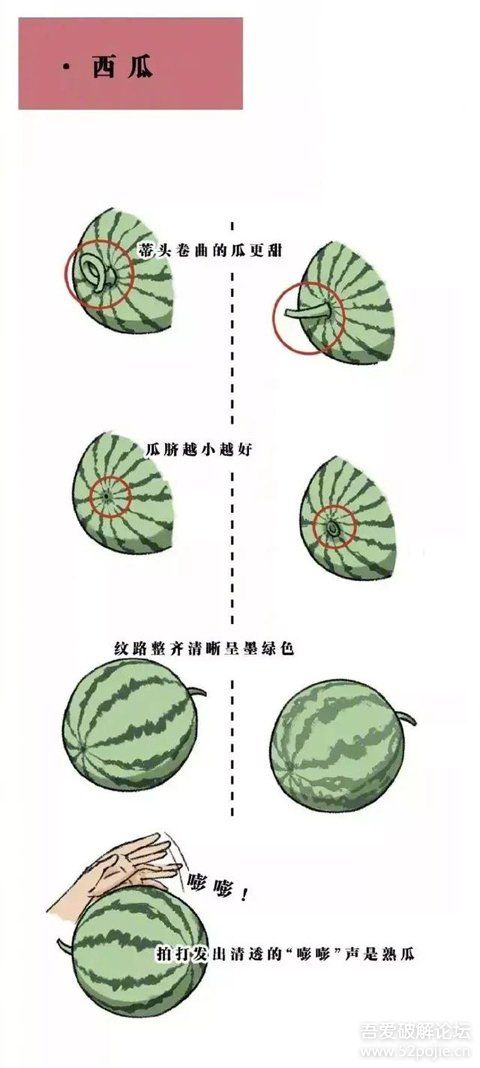 挑水果技巧-9