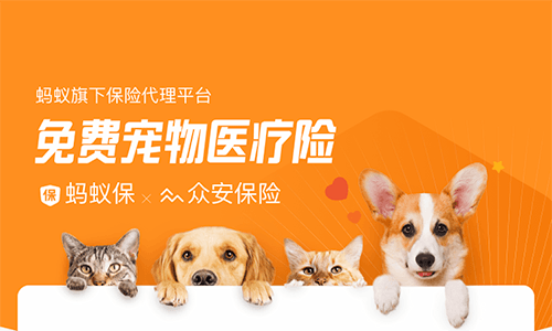 手机淘宝App 免费领取 3~4 个月宠物保险